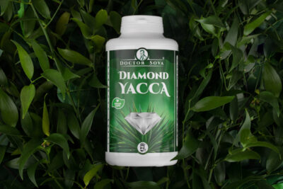 DIAMOND YACCA doctor sova® 280 tobolek 